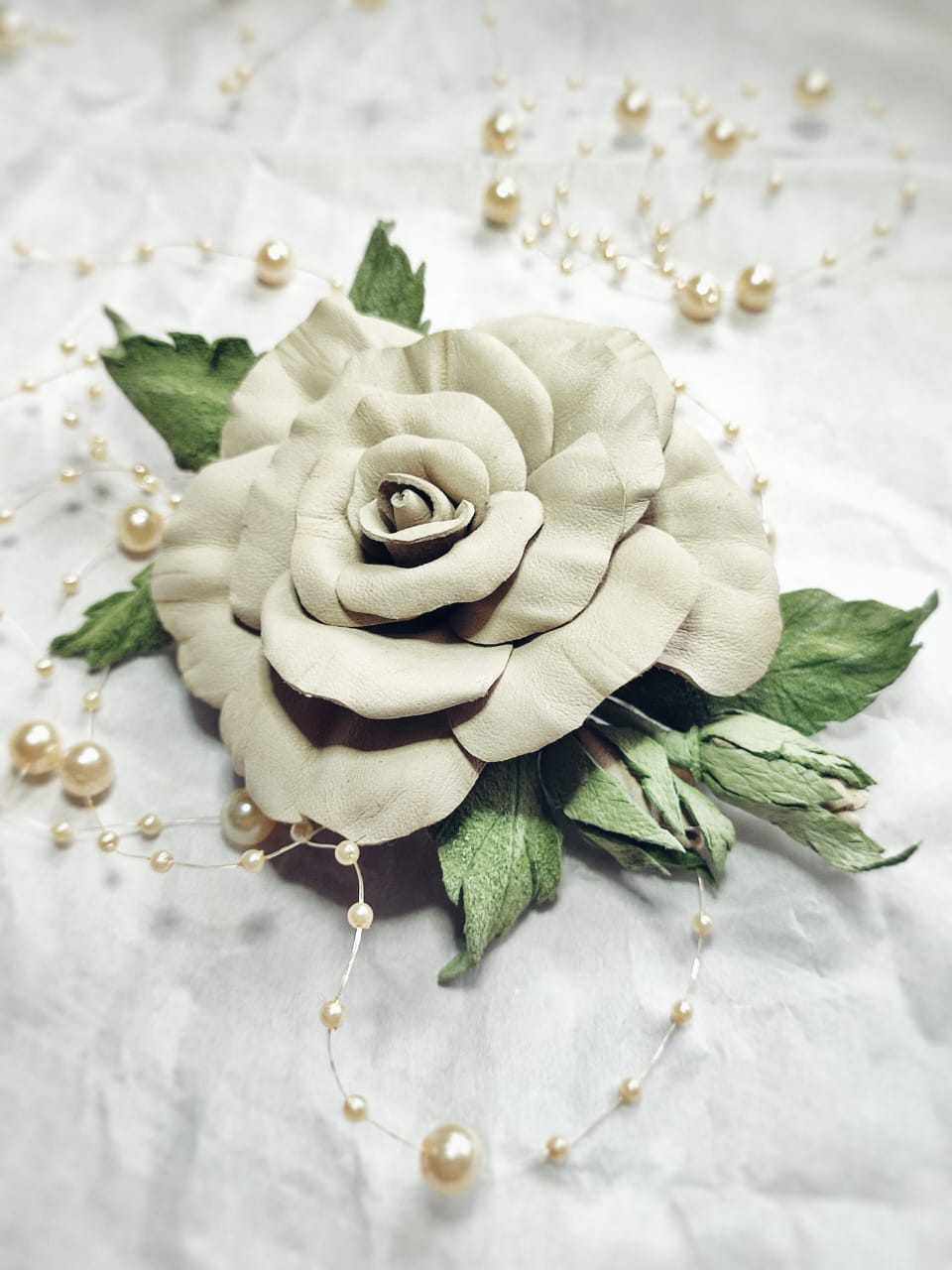 WhatsApp Image 2025 11 05 at 13.03.39 2